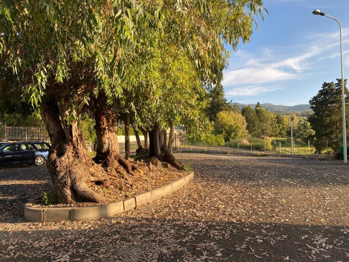 אקוודולצ'י Villetta Sul Mare מראה חיצוני תמונה